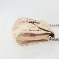 Christian Dior Saddle Chain Auth 194136 4