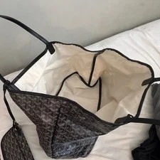 Goyard Saint Louis Dupe 2