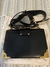 Rare Limited Edition Lion Head Caheir Purse Saffiano Leather 4