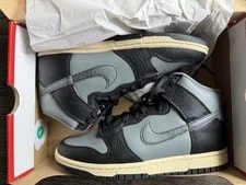 Nike Dunk High Retro 2