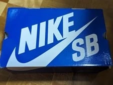 Nike Zoom Bruin Sb Color With Box Us11 3