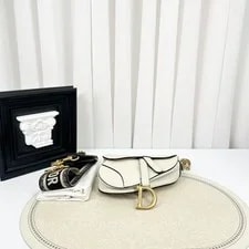 Dior Saddle Mini Hardware Crossbody 20cm Card Strap 3