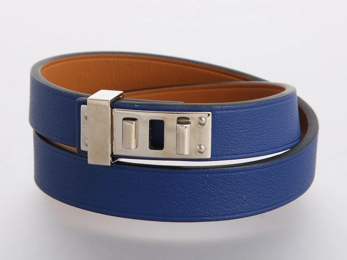 Hermès Electrique Dog 2