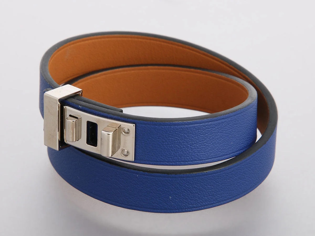 Hermès Electrique Dog 3