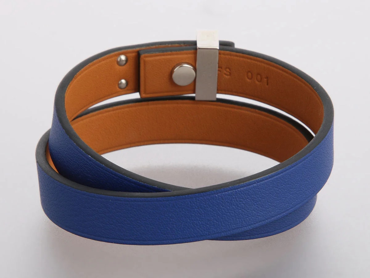 Hermès Electrique Dog 4