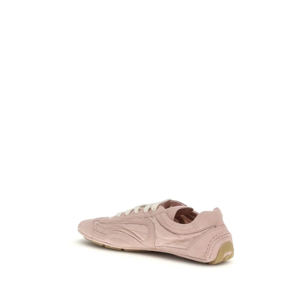 Lamb Ovis Aries 3