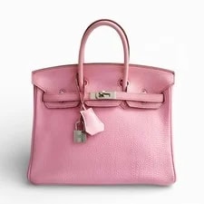Hermès — Hermès Birkin 25 5P Palladium Hardware N Stamp — Handbag — resale