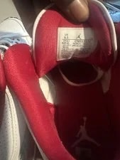 Retro Jordan 3 Cardinal Reds 2