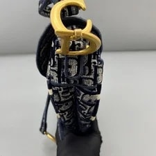 Dior Saddle Medium &Crossbody Duty 4