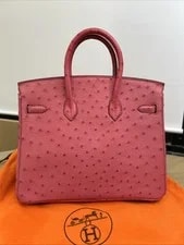 Hermès Birkin 25 Top Handle 4