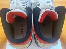 9.5US Air Jordan 3 Retro Se-T Co.Jp 3