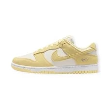 Nike Dunk Low Top Skateboard Shoes 2