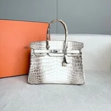 Hermès — Hermès Birkin 30 Himalaya Niloticus Hardware — Handbag — resale