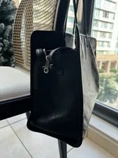 Goyard Hardy in Pet Carrier 2