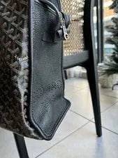 Goyard Hardy in Pet Carrier 3