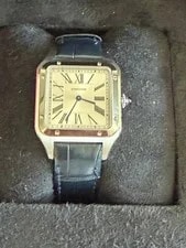 Cartier Santos-dumont 43.5 X 31.4 Mm Steel (WSSA0022) Crocodile Skin 2