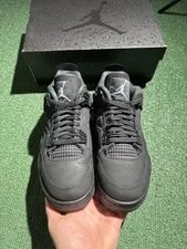 Jordan Air 4 Retro 2025 Cat FV5029-010 4