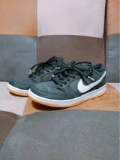 9.5US Nike Sb Dunk Low Pro 2