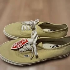 10.5US Dead Stock Vans Authentic With Tag LTD Collection Sn 3