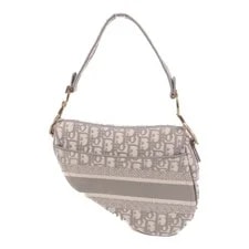 Christian Dior CD GHW Saddle Medium 2