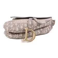 Christian Dior CD GHW Saddle Medium 4