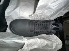 Air Jordan 4 Cat Retros 3