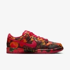 Nike SB Dunk Low the Wizard of Oz Field FZ1291-600 3