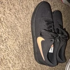 Nike SB Check / Low Top Lace-Up Skate 3