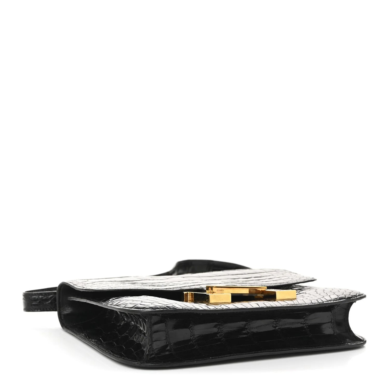 Shiny Caiman Constance 23 4