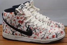 Size 11 - Nike SB Dunk Pro High Blossom 2