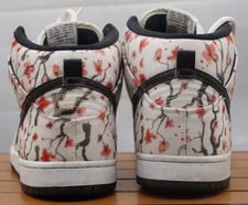 Size 11 - Nike SB Dunk Pro High Blossom 3