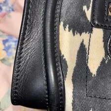 Item Celine Luggage Animal Leopard 3