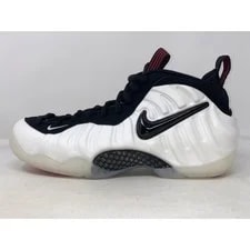 Nike Air Foamposite Pro 2