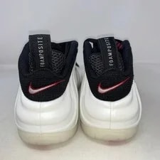 Nike Air Foamposite Pro 4