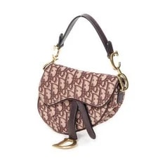 Dior / Mini Saddle 2