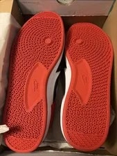 Nike SB Alleyoop 2