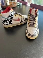 Nike Dunk High Thrashin Size 10.5 No Box 2