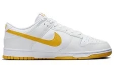 Nike Dunk Low DV0831-110 New 2