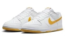Nike Dunk Low DV0831-110 New 3