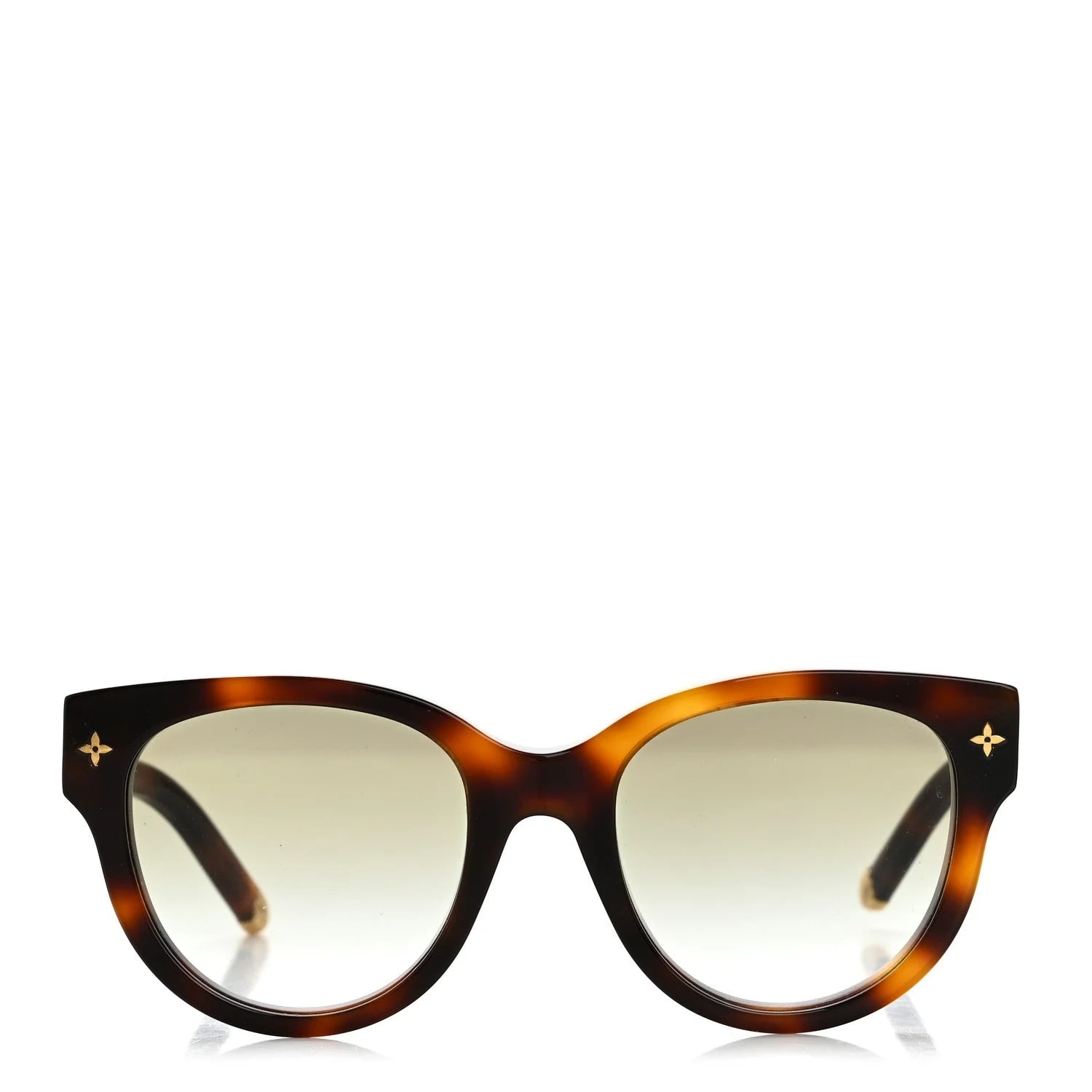 Acetate My Square Sunglasses Z1527W Dark Tortoise 2