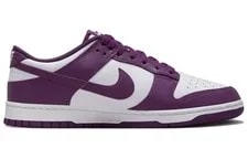 Nike Dunk Low Viotech DV0833-107 New 3