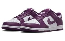 Nike Dunk Low Viotech DV0833-107 New 4