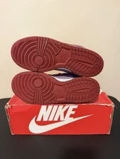 Nike Dunk Low Size 8 Retro Vol. 1 -2024 500 3
