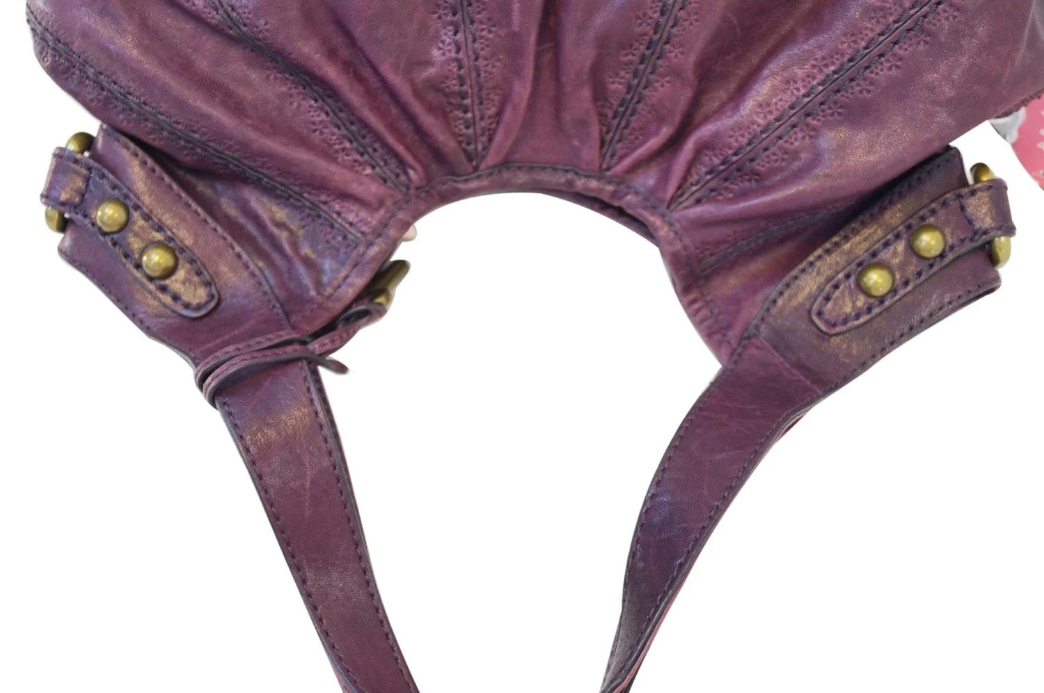 Fossil Shoulder 4