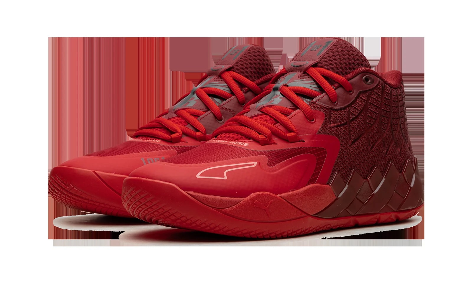 MB.02 Lo TB "Intense " 309770 02 2