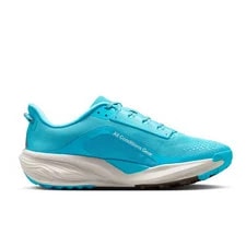 HV8116-400 Nike ACG Pegasus Trail Baltic 3