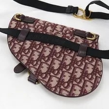 Excellent Condition Dior Body Belt Saddle From Japa 2