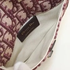 Excellent Condition Dior Body Belt Saddle From Japa 3