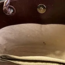 Bottega Veneta Handbagw Dust From Japan 4