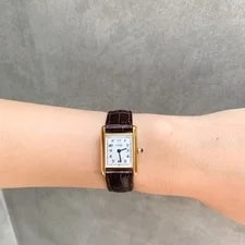 Cartier Mast Tank LM Trinity Dial Gold Watches 3